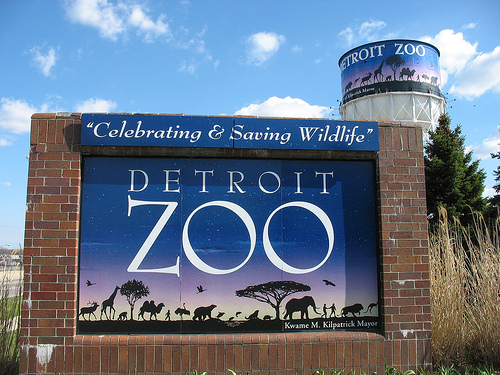 Detroit Zoo animals will