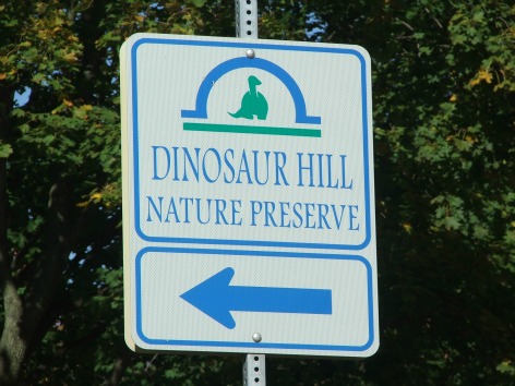 Dinosaur Hill